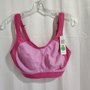 Paramour Size 34DD Dark Pink and Light Pink Unity Sports Bra